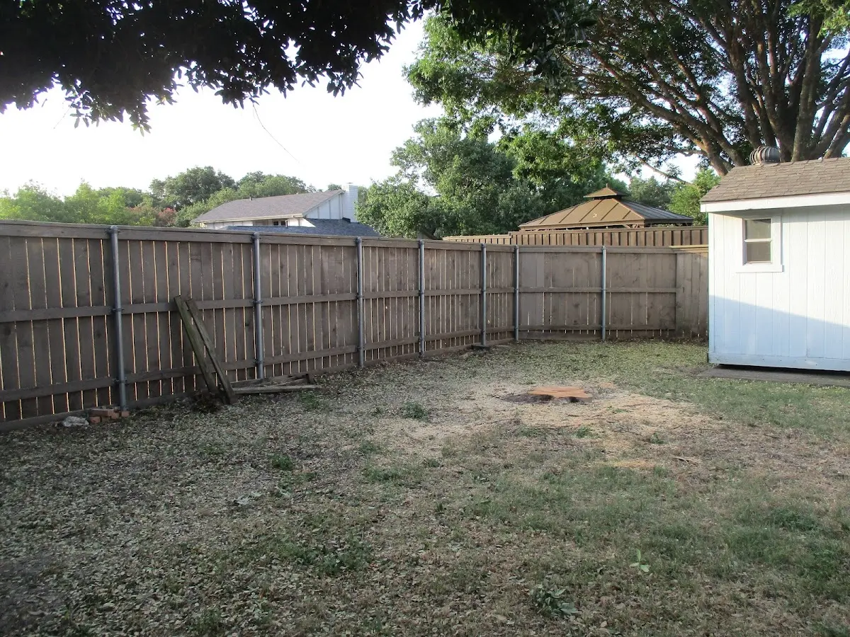 Cleared yard after professional tree removal in Mi Wuk Village