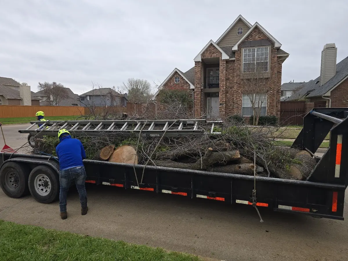 Expert Lot Clearing with proper safety equipment in Mi Wuk Village